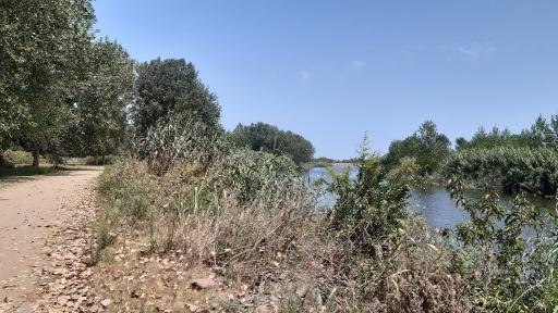عکس جزیره فلامینگو
