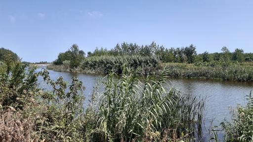 عکس جزیره فلامینگو