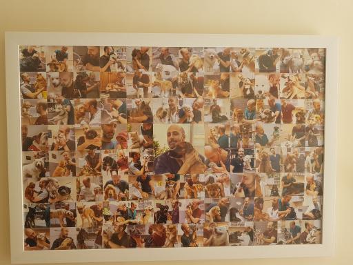 عکس کلینیک دامپزشکی دکتر مهرداد کریمی 