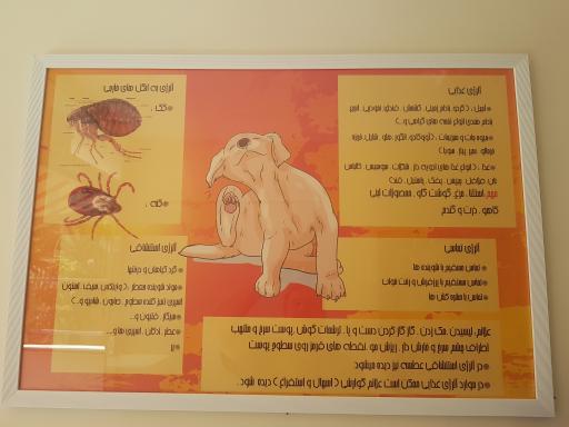 عکس کلینیک دامپزشکی دکتر مهرداد کریمی 