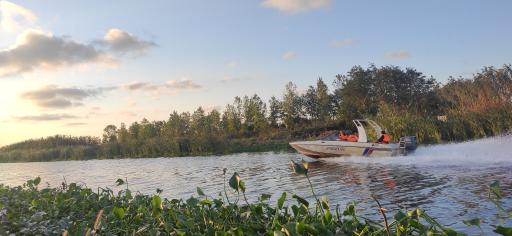 عکس جزیره فلامینگو