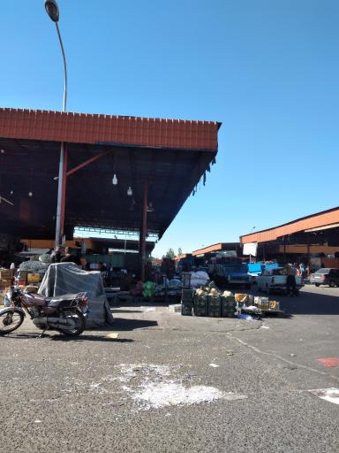 عکس فاز 2 سالن E 6