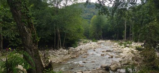 عکس سد زوارت