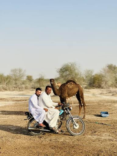 عکس نوبندیان