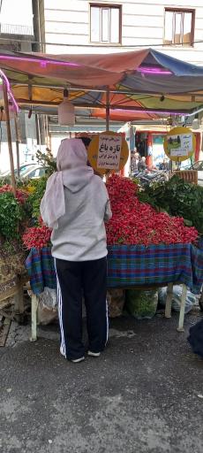 ایستگاه سبزی محمدی