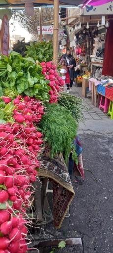 عکس ایستگاه سبزی محمدی