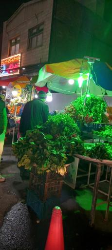 عکس ایستگاه سبزی محمدی