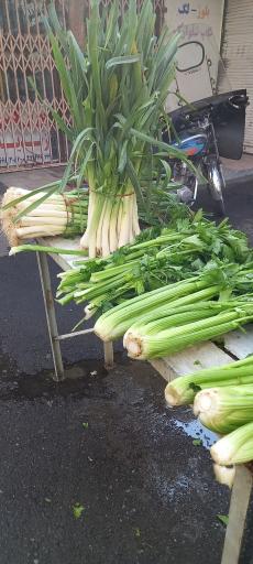 عکس ایستگاه سبزی محمدی