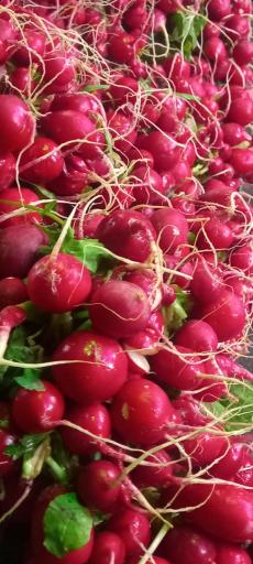 عکس ایستگاه سبزی محمدی