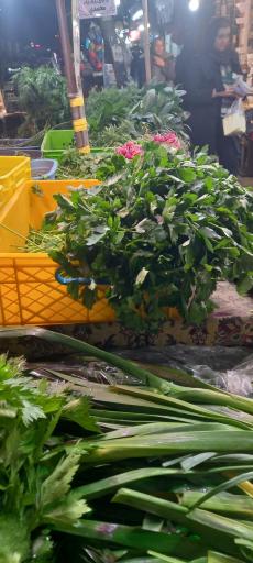 ایستگاه سبزی محمدی