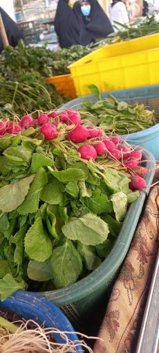 عکس ایستگاه سبزی محمدی