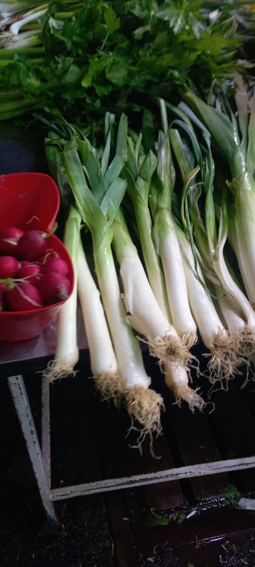 عکس ایستگاه سبزی محمدی