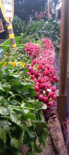 عکس ایستگاه سبزی محمدی