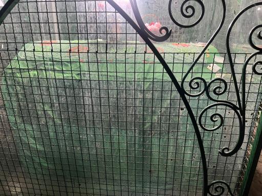 عکس امامزاده ابو تراب (مزار غریب)