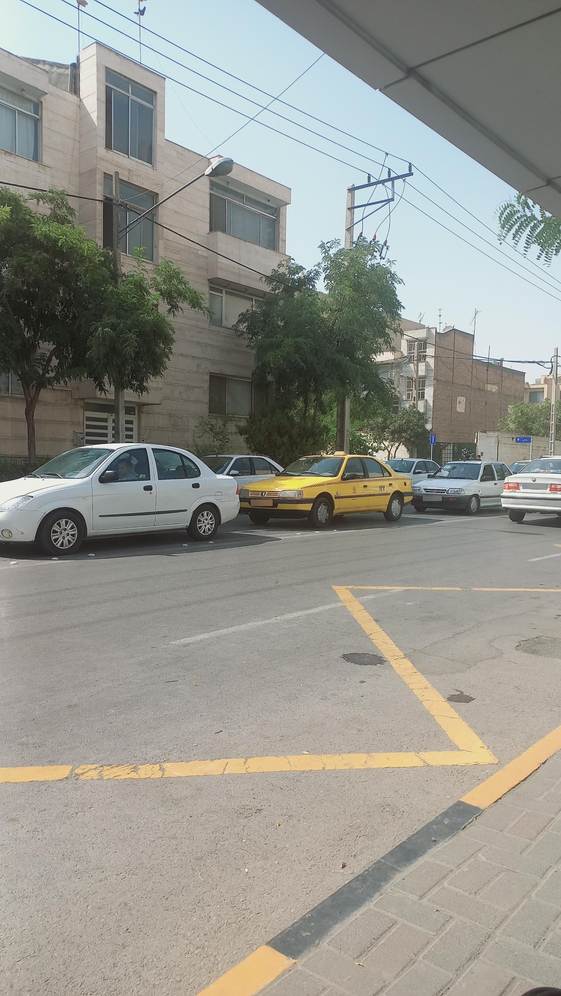 عکس  بهاران 4