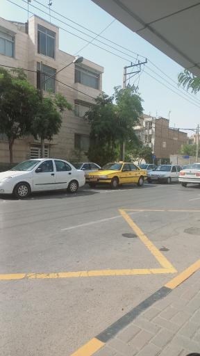 عکس  بهاران 4