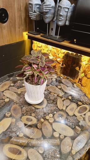 عکس کافه گذر