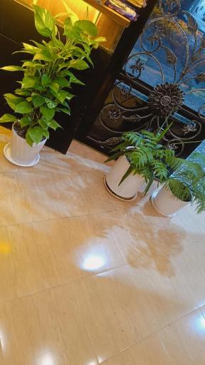 عکس کافه گذر