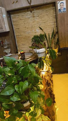 عکس کافه گذر