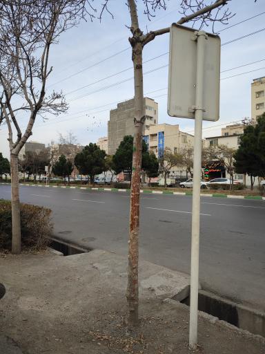 عکس  جانباز 6