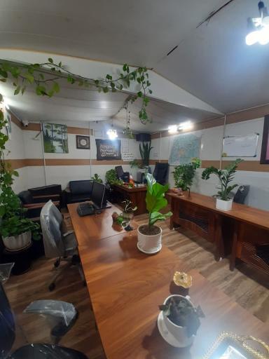 عکس مشاور املاک پدرسالار