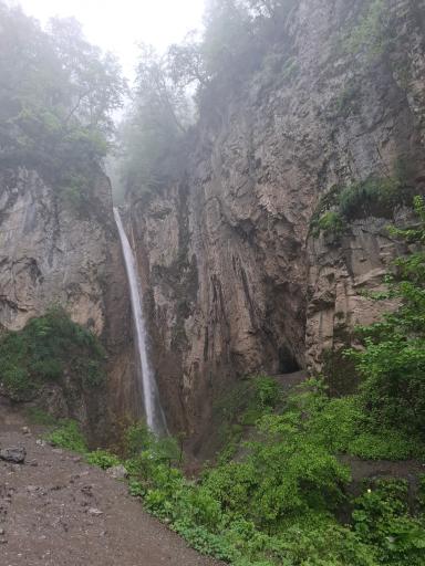 عکس پارک جنگلی ناهارخوران