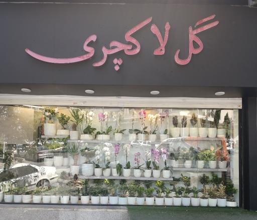 عکس گلفروشی لاکچری