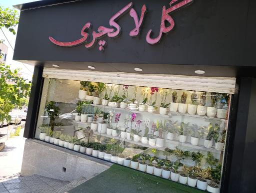 عکس گلفروشی لاکچری