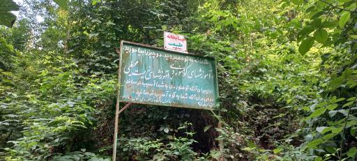 عکس پارک جنگلی ناهارخوران
