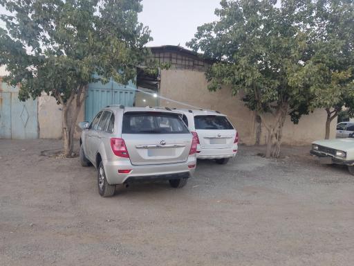 عکس دکتر لیفان