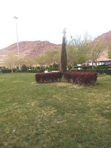 عکس پارک شهیدان بنایی