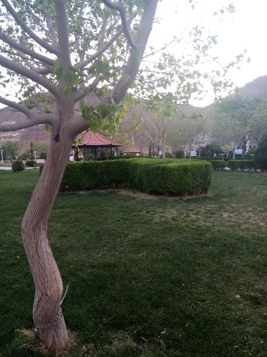 عکس پارک شهیدان بنایی