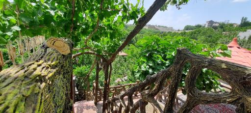 عکس اقامتگاه ملیسا