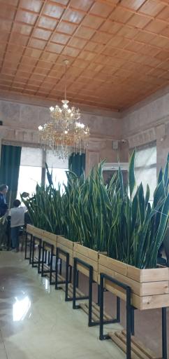 عکس رستوران کوروش