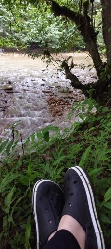 عکس پلنگ دره