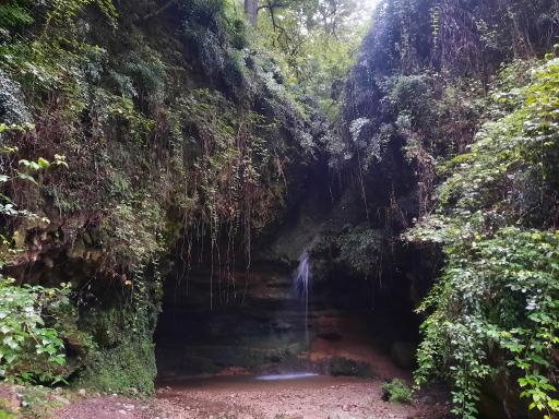 عکس پلنگ دره