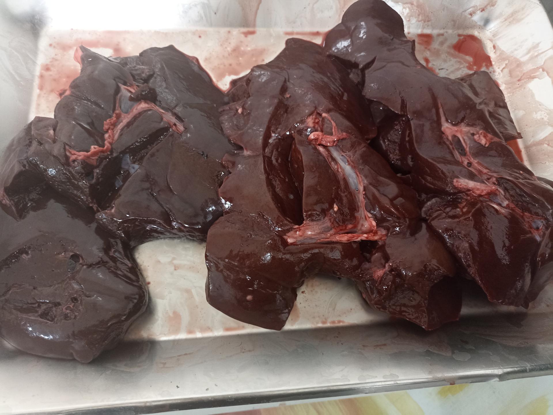 عکس جگرسرای تهرونیا