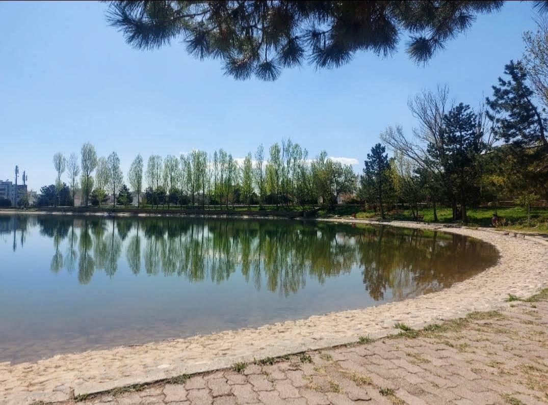 عکس دریاچه مصنوعی دانشگاه