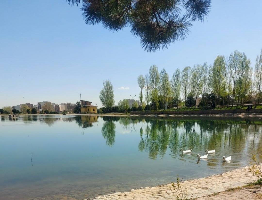 عکس دریاچه مصنوعی دانشگاه