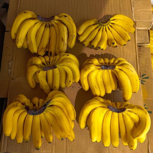 عکس میوه فروشی برادران نوروزی