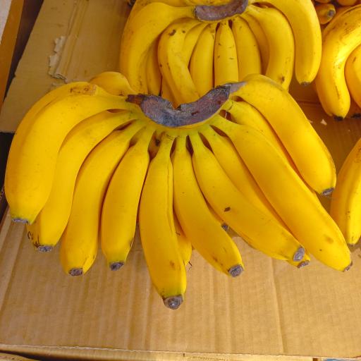 عکس میوه فروشی برادران نوروزی