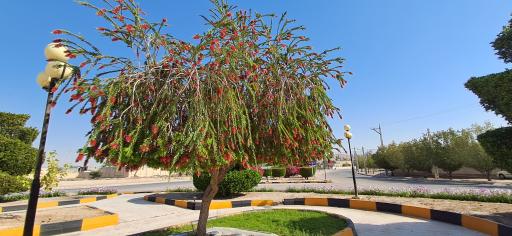 عکس میدان امام حسین