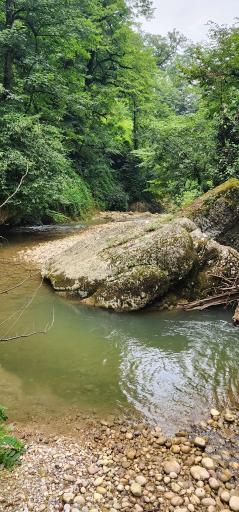 عکس پلنگ دره