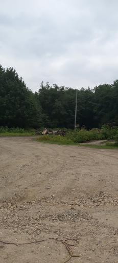 عکس پلنگ دره