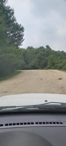 عکس پلنگ دره