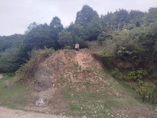 عکس پلنگ دره