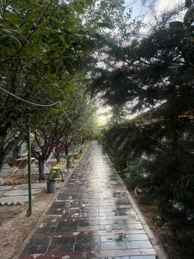 عکس کافه رستوران خانوادگی کسری
