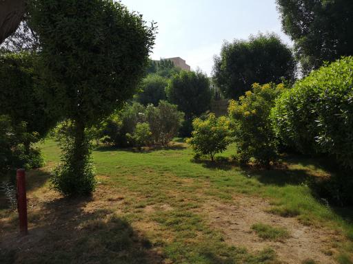 عکس پارک سازمانی 