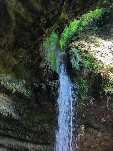 عکس پلنگ دره