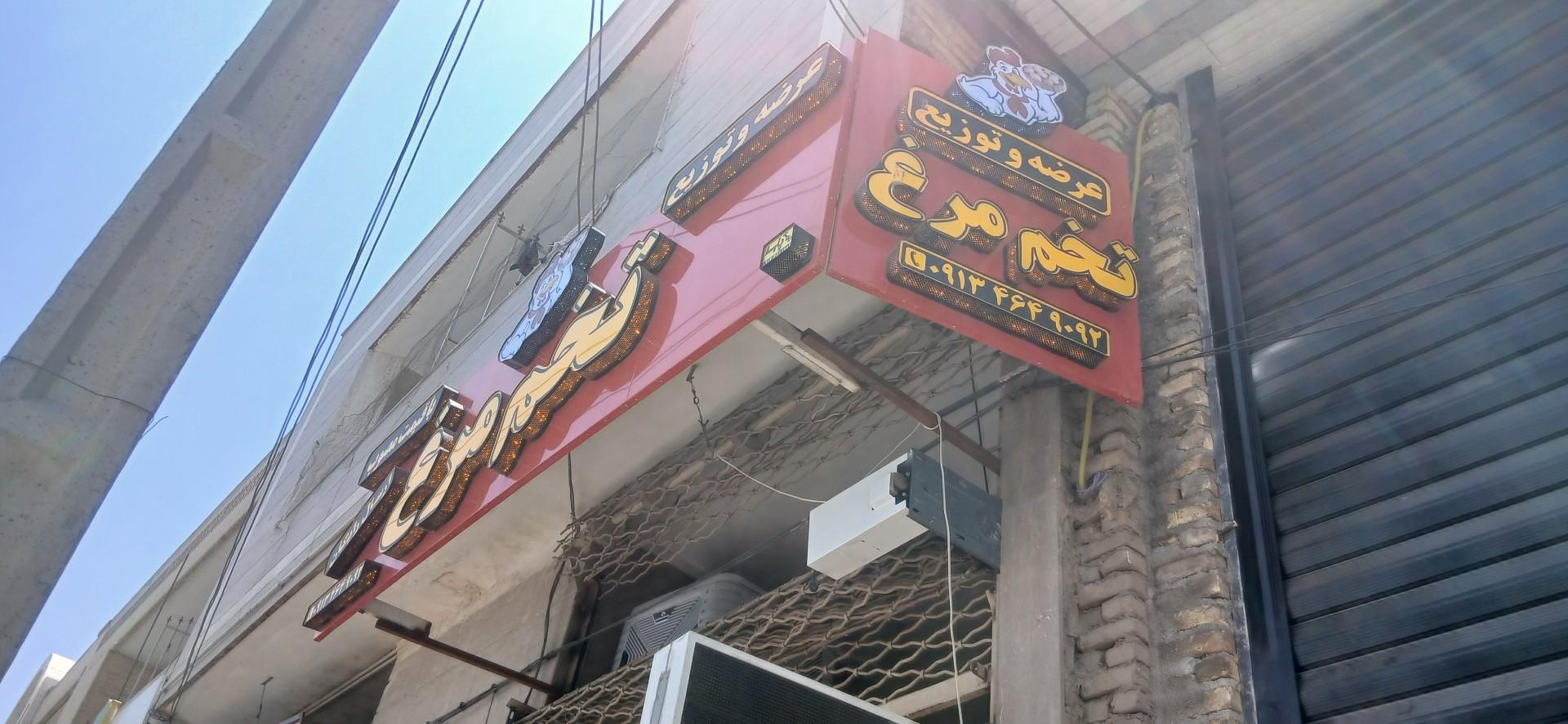 عکس پخش تخم مرغ فادیا